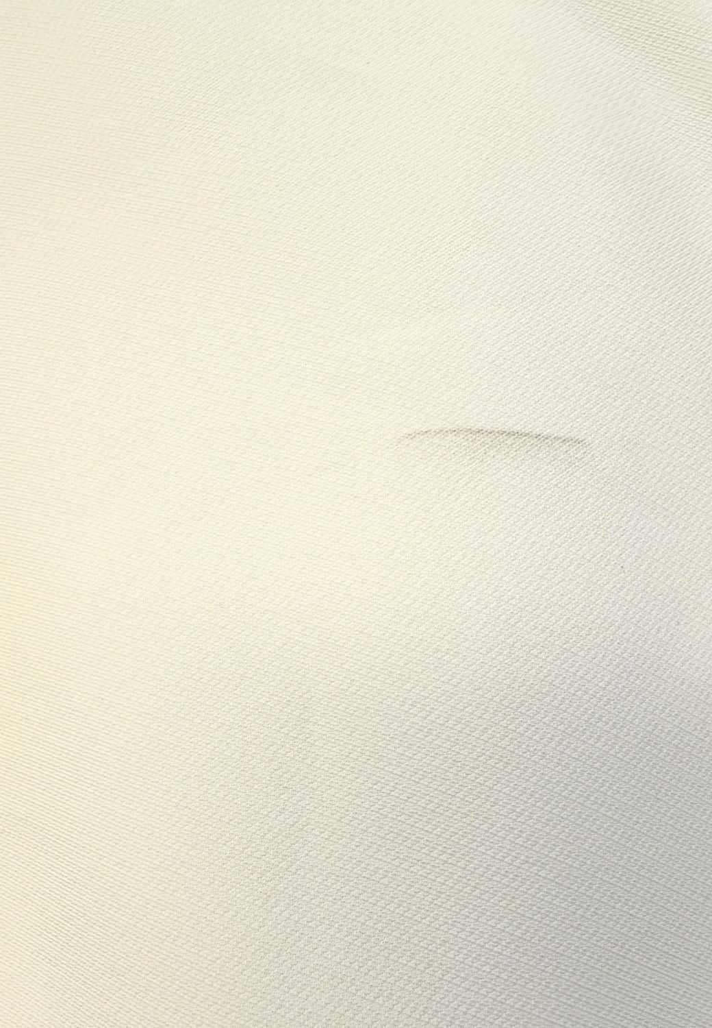 Pantalone Palazzo Essenziale Vaniglia T2
